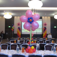 Balloon Flowers