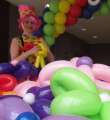 Balloon Twisting Training Course Link