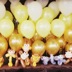 Balloon Animals in Toronto