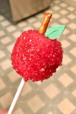 Cake Pops for Kids Party in Toronto