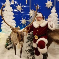 Real beard Santa for parties in Toronto